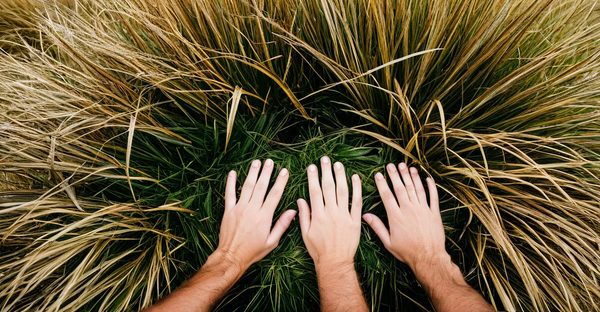 Vivez un week-end insolite en bretagne pour deux amoureux